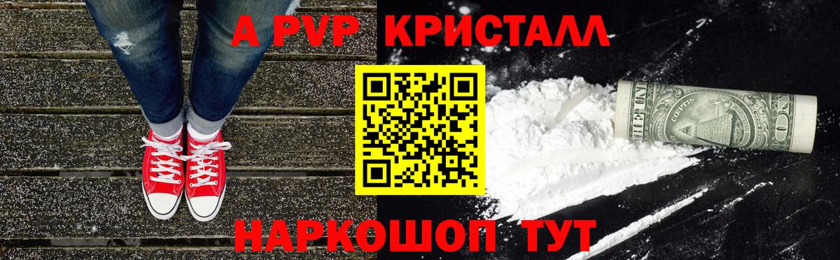Альфа ПВП СК КРИС Калининград