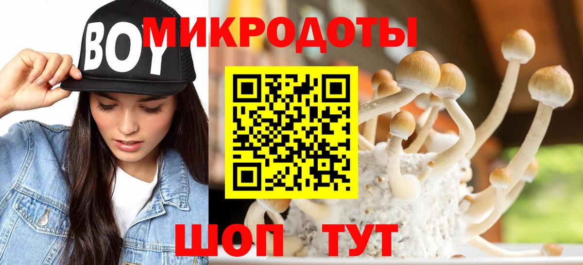 Калининград  купить наркотик  Вход с VPN  Псилоцибиновые грибы Magic Shrooms 