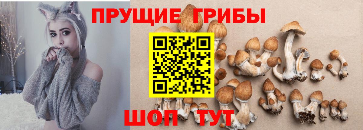 Калининград  Вход с VPN  Марихуана  A PVP СК   Меф   ГАШ 